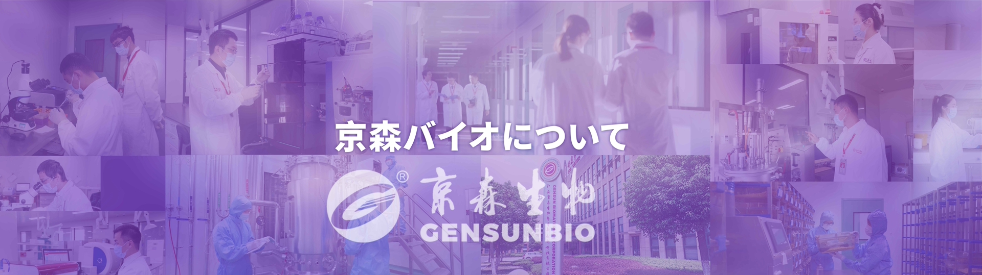 企業情報